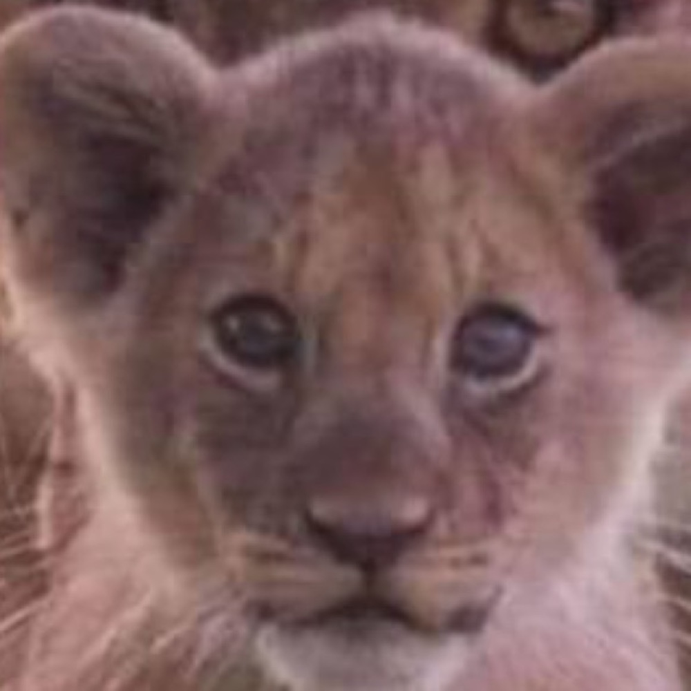 Meet your Posher, Tony